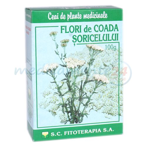 Fitoterapia Ceai Coada Soricelului, Ceai, 100g