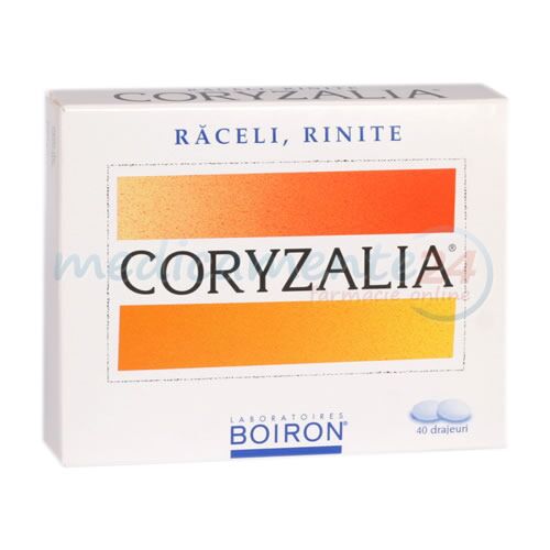 Coryzalia Drajeuri, Drajeuri, 40buc