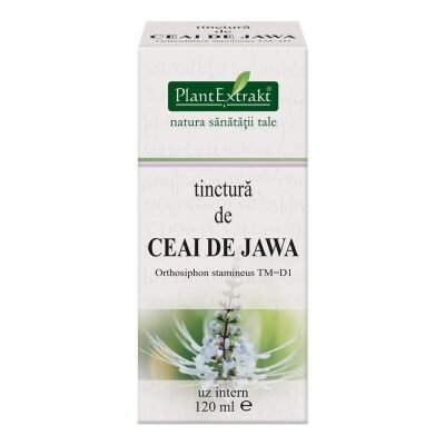 Plant Extrakt Tinctura de Ceai de Jawa, Tinctura, 120ml