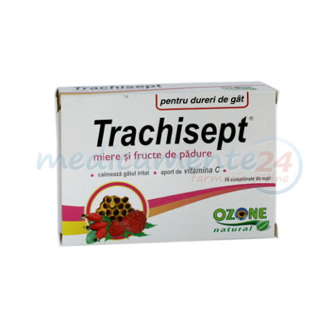 Trachisept Miere si Fructe Padure Comprimate Supt, Comprimate, 16buc-0 Trachisept Miere si Fructe Padure Comprimate Supt, Comprimate, 16buc-0