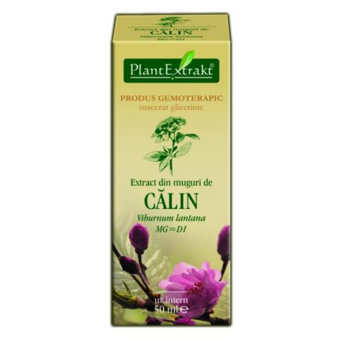 Plant Extrakt Din Muguri De Calin, Extract, 50 ml -0 Plant Extrakt Din Muguri De Calin, Extract, 50 ml -0