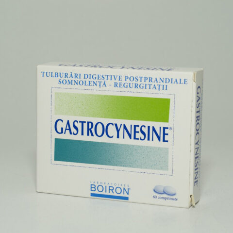 Gastrocynesine Comprimate, Comprimate, 60buc-0